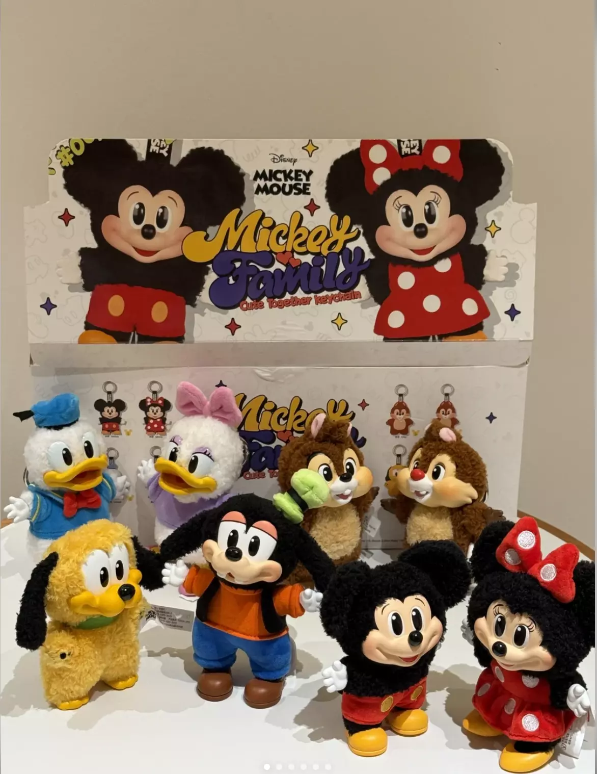 plant/1Box Mickey Mouse Mickey Family-0