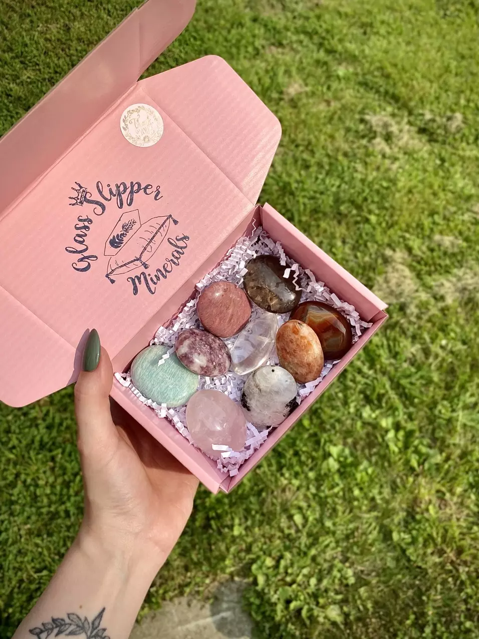 plant/Crystal Palm Stone Mystery Box-0