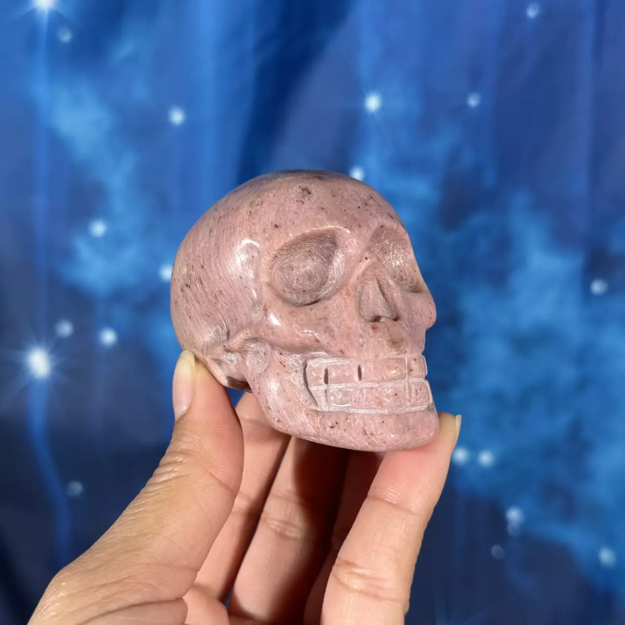 plant/Pink Petrified Wood skull, 29n-0