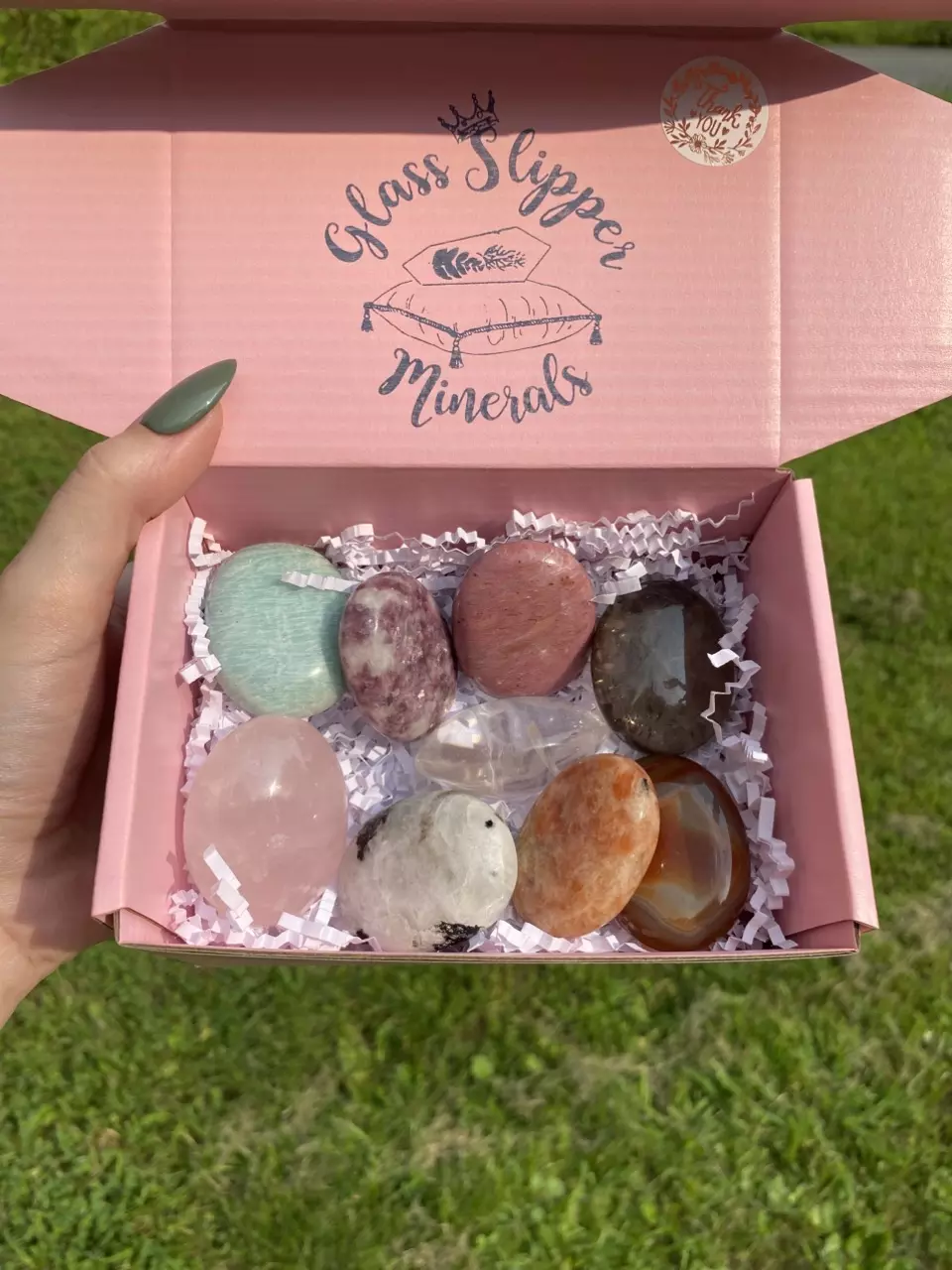 plant/Crystal Palm Stone Mystery Box-1
