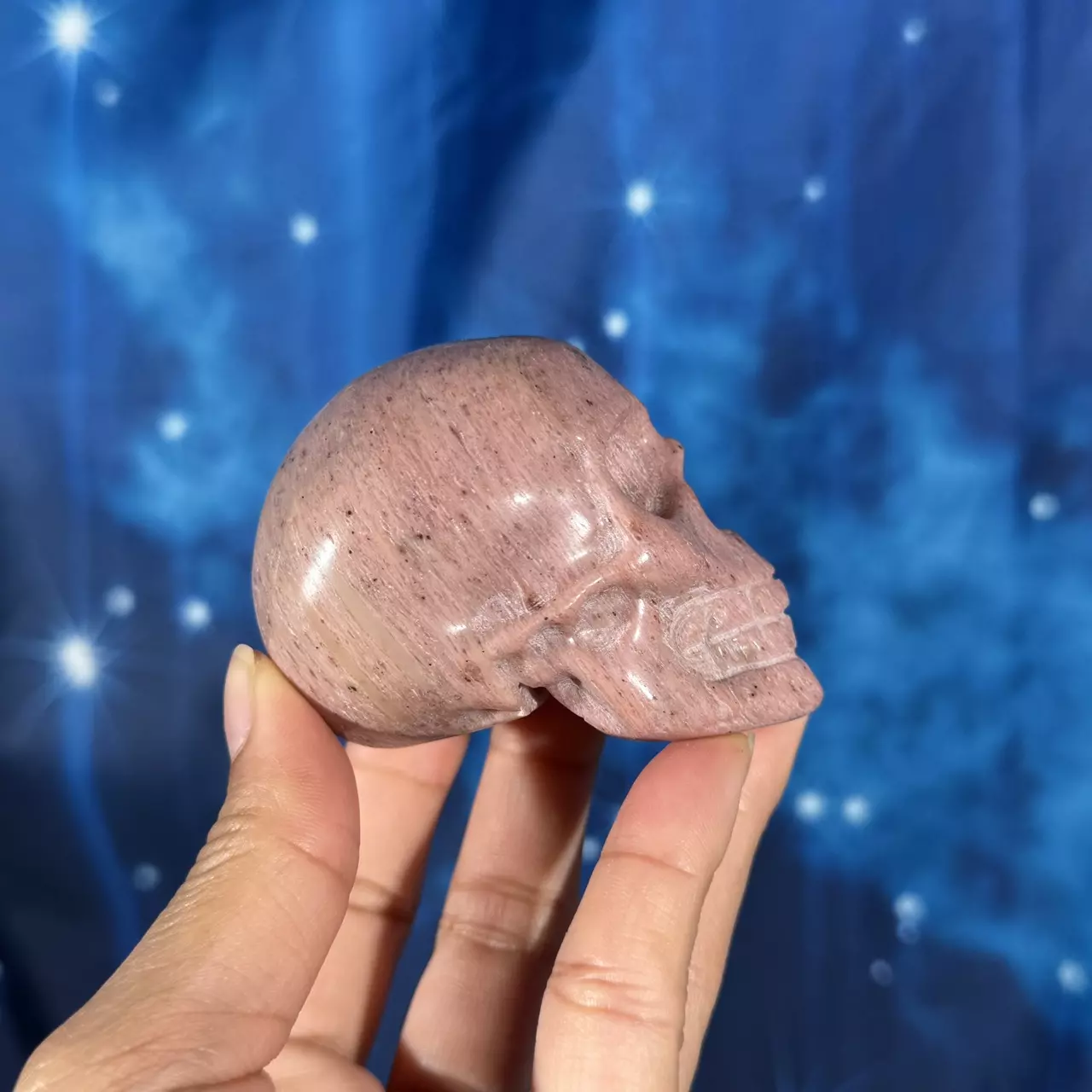 plant/Pink Petrified Wood skull, 29n-1