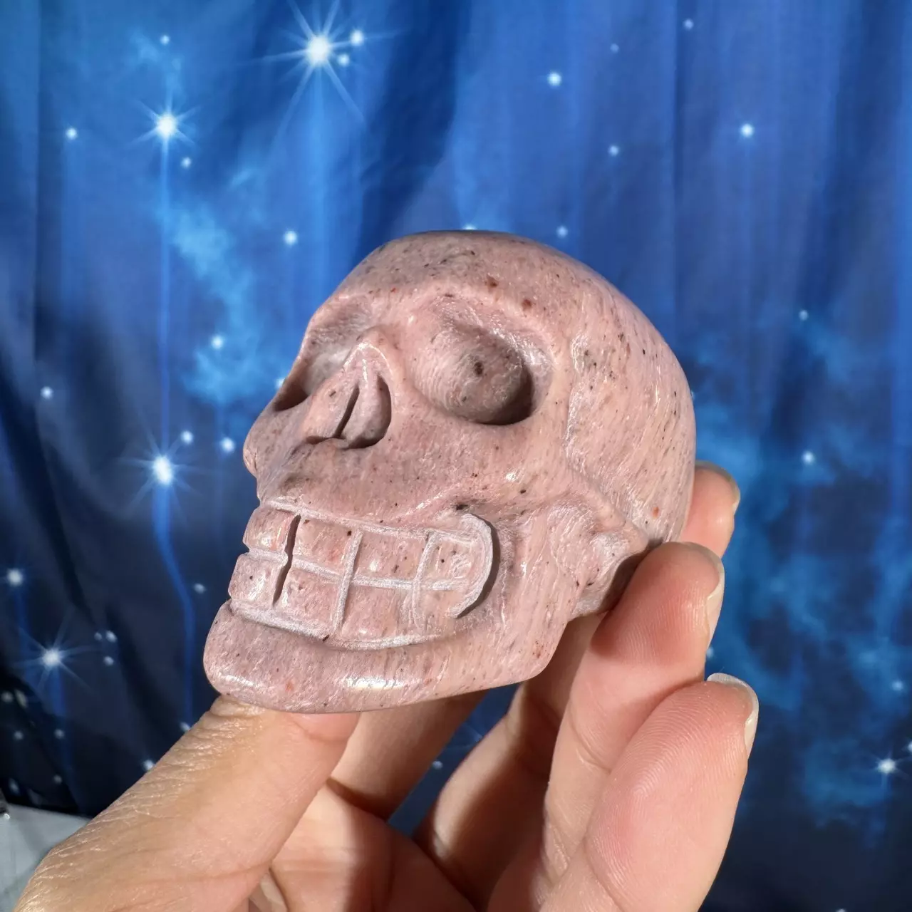 plant/Pink Petrified Wood skull, 29n-8