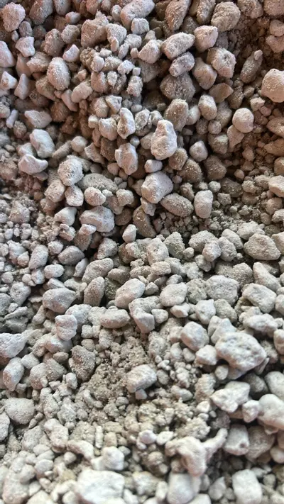 plant/Pumice - Quart -0-thumbnail