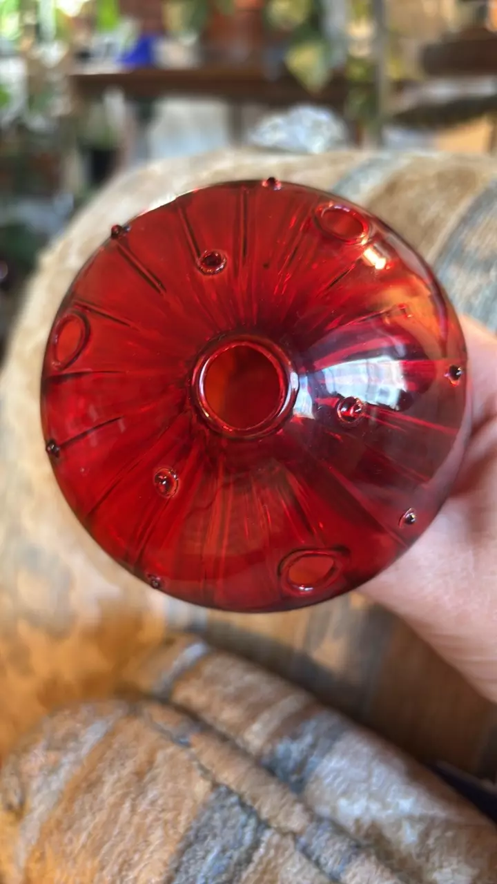 plant/Red Glass Propagation Vase-1