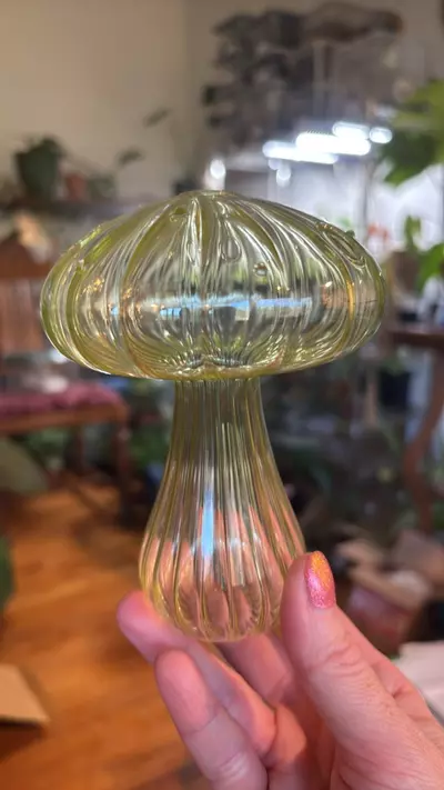 plant/Lime Green Glass Propagation Vase-0-thumbnail