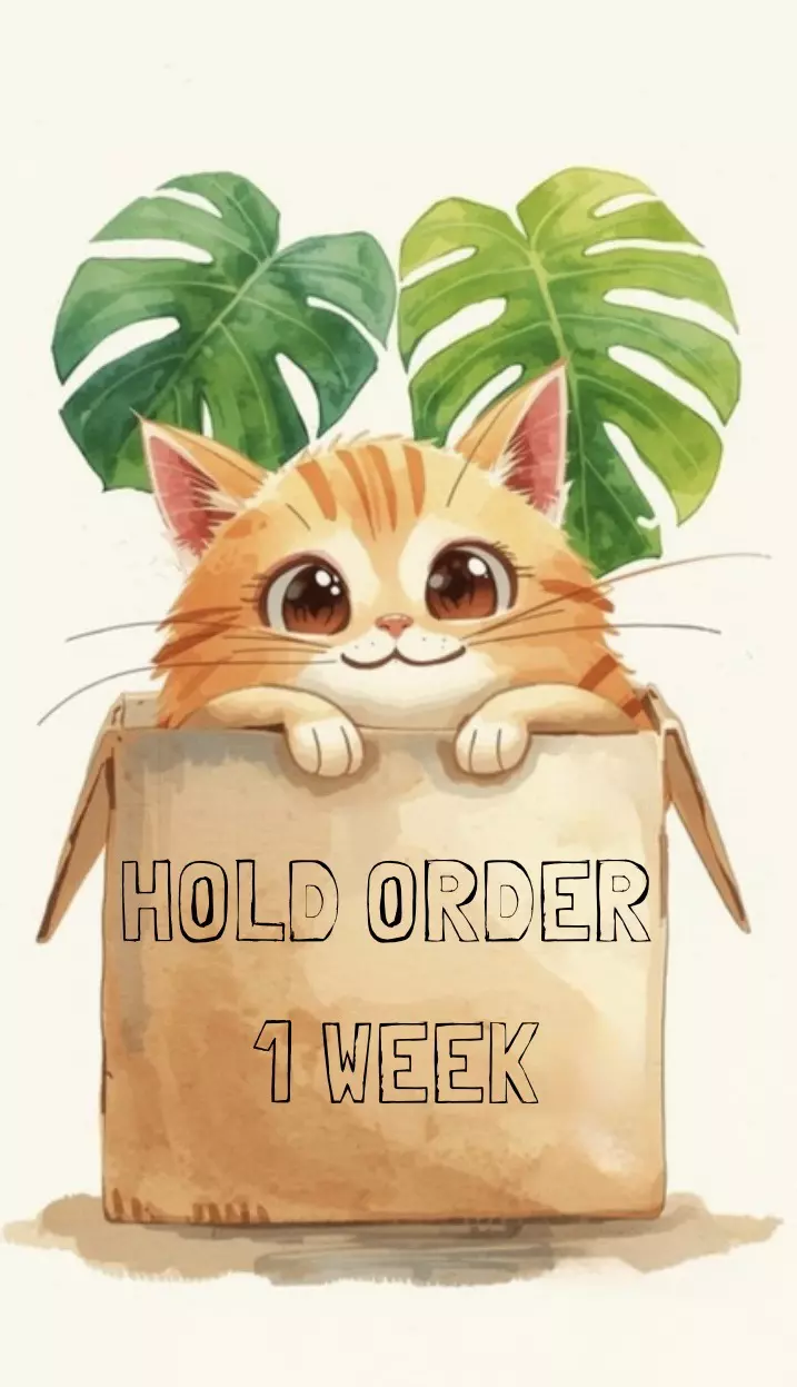 free_shipping/Hold my order 1 week!-0