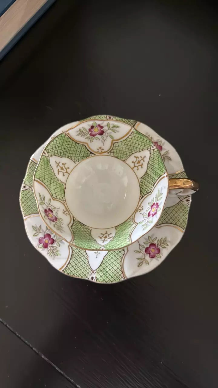 plant/Vintage UCAGCO Hand Painted Teacup & Saucer – Made in Japan-0