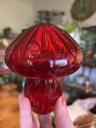 plant/Red Glass Propagation Vase-0-thumbnail