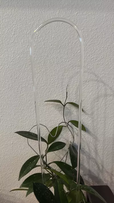 plant/Clear trellis 18”-1-thumbnail