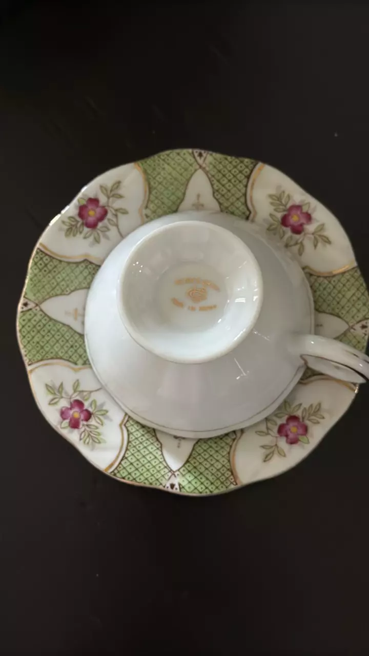 plant/Vintage UCAGCO Hand Painted Teacup & Saucer – Made in Japan-2
