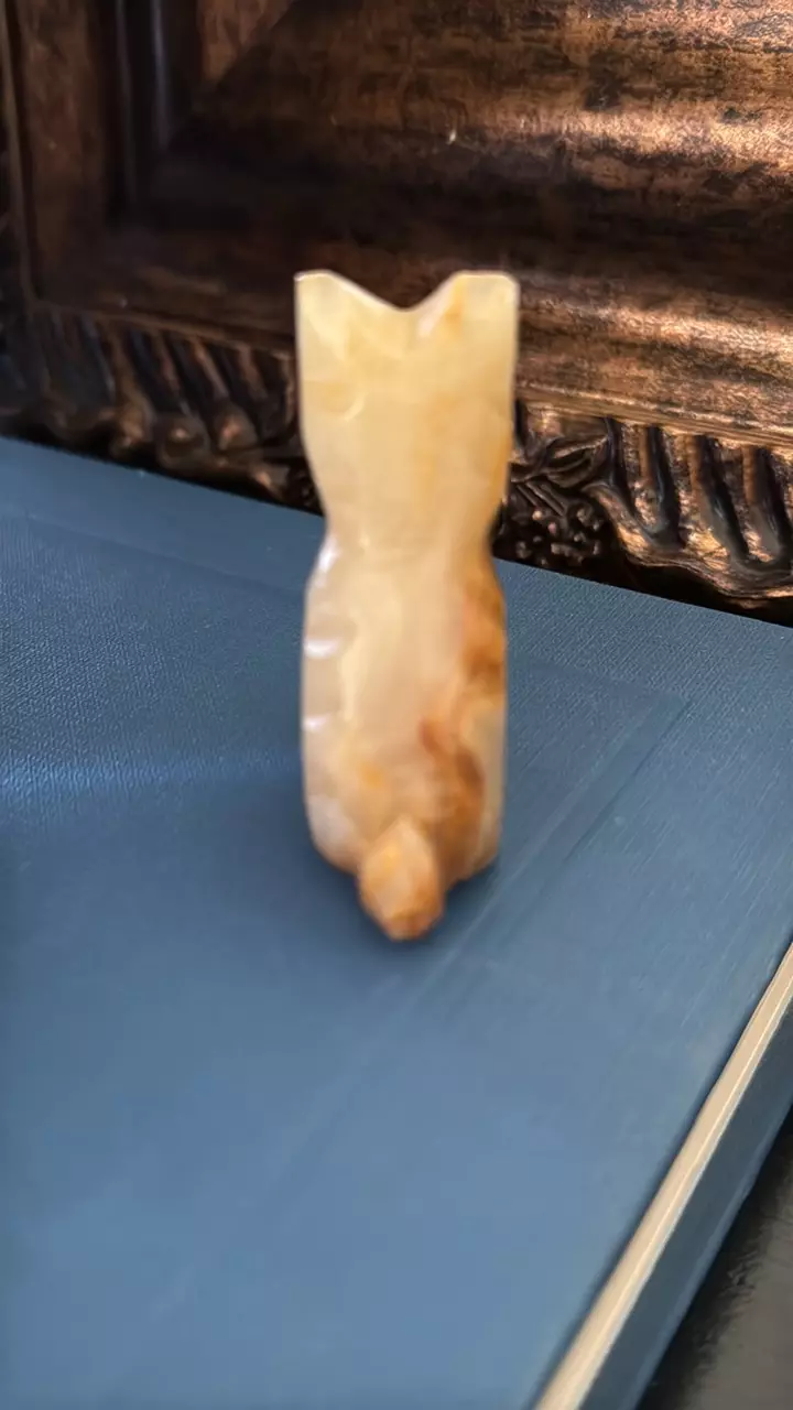 plant/Onyx Scottie Dog-3