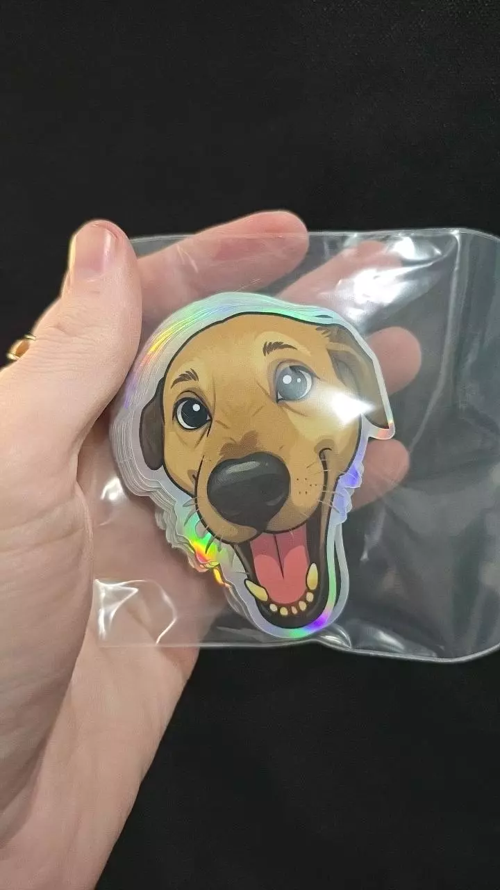 free_shipping/4" Holographic Codie Sticker-0