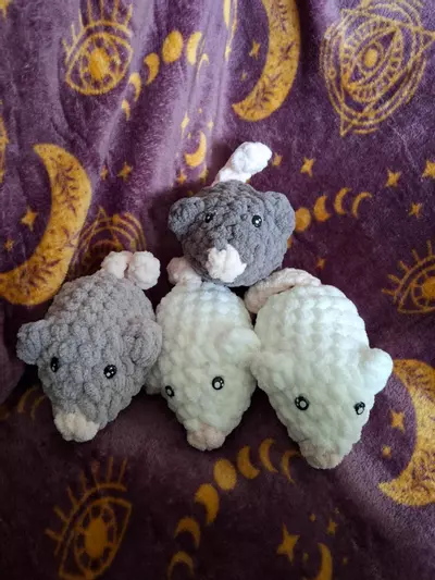 plant/Mini loaf rats-0-thumbnail