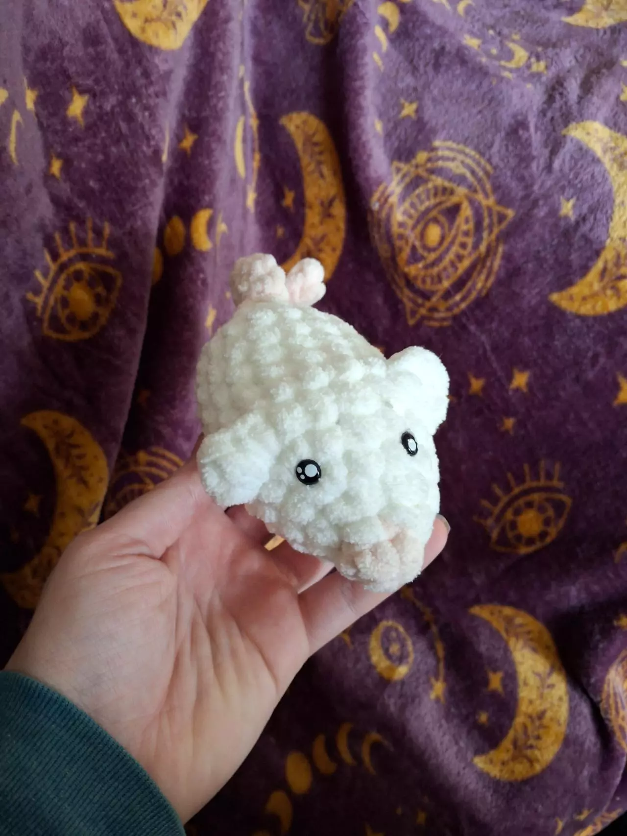 plant/Mini loaf rats-3