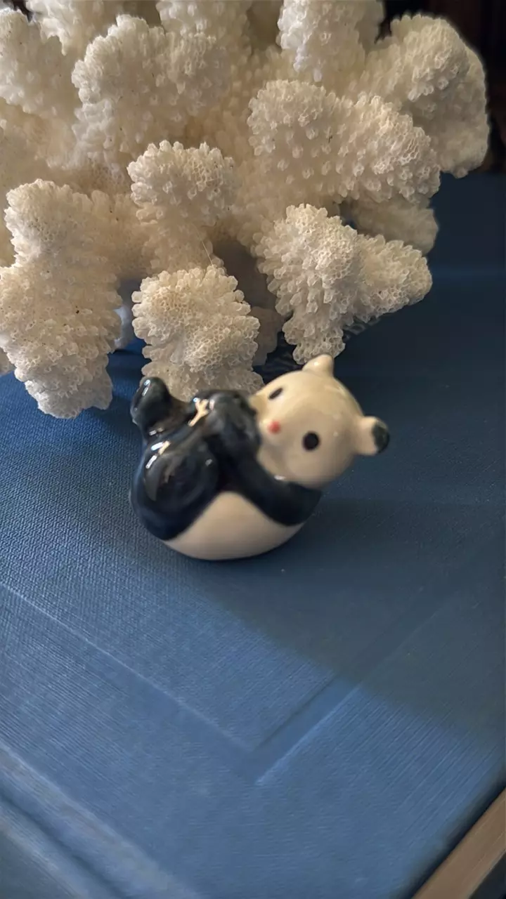 plant/Mini Ceramic Panda-1