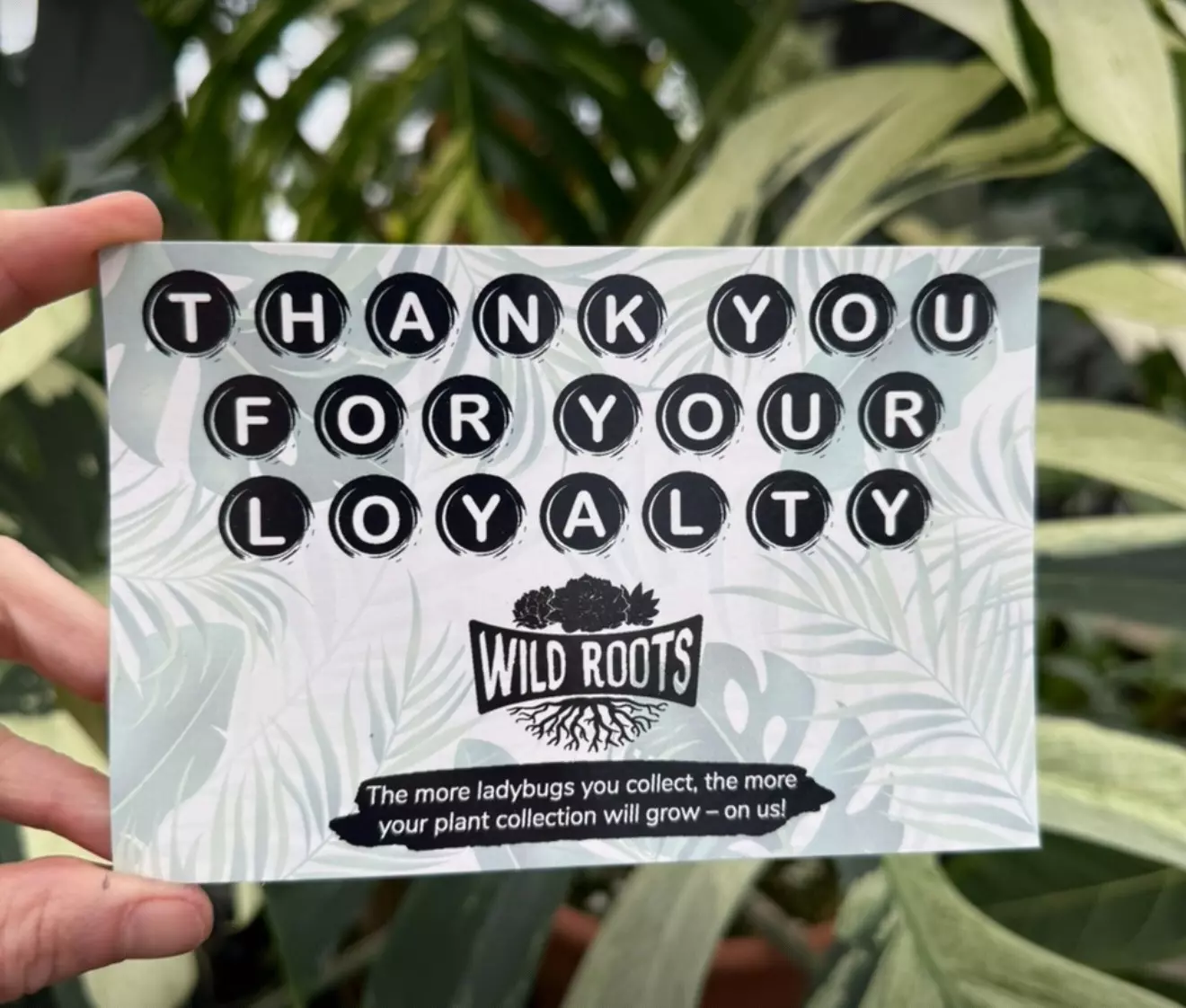 plant/Send me a loyalty card-0