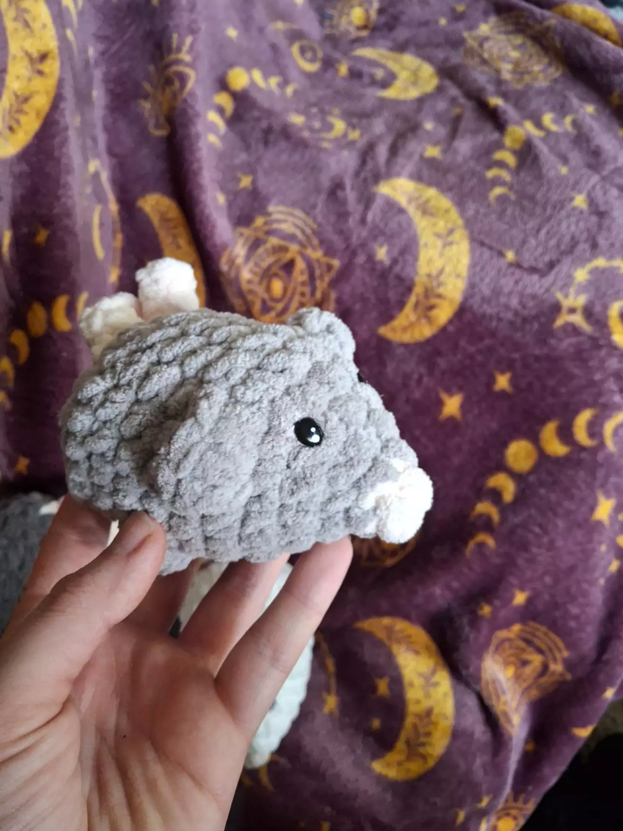 plant/Mini loaf rats-1