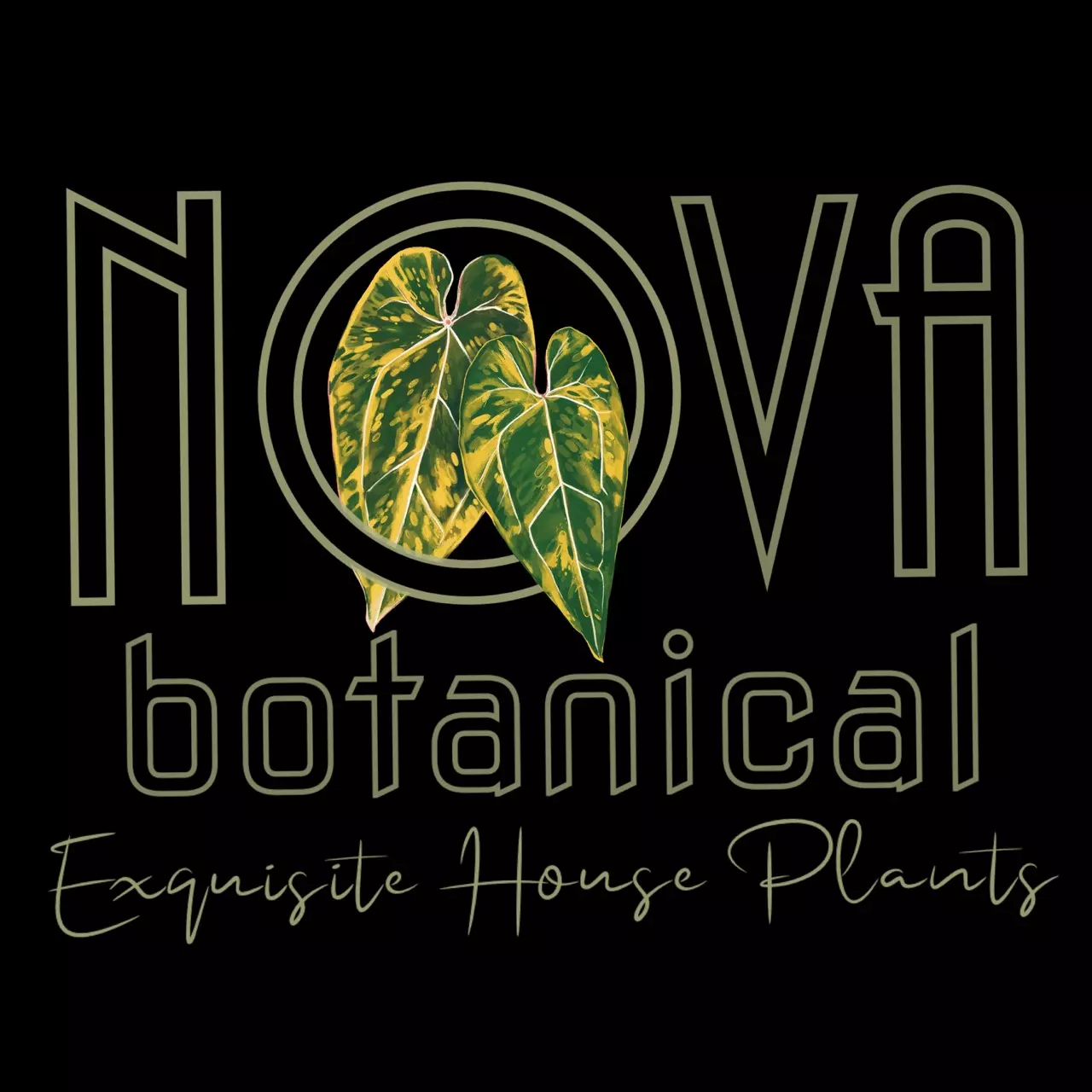 plant/Winter Plant Insulation-0