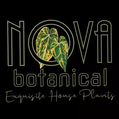 plant/Winter Plant Insulation-0-thumbnail