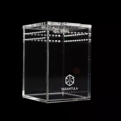 plant/OG Sling Crib - Tarantula Cribs-0-thumbnail