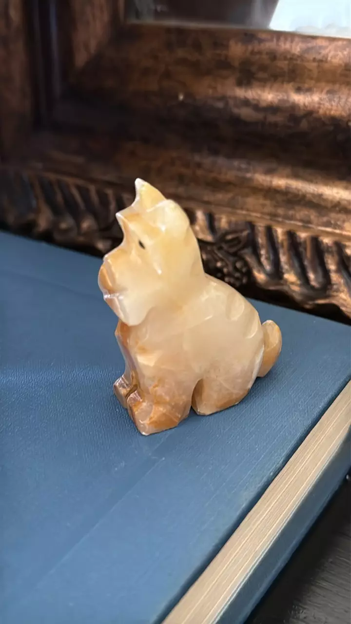 plant/Onyx Scottie Dog-0