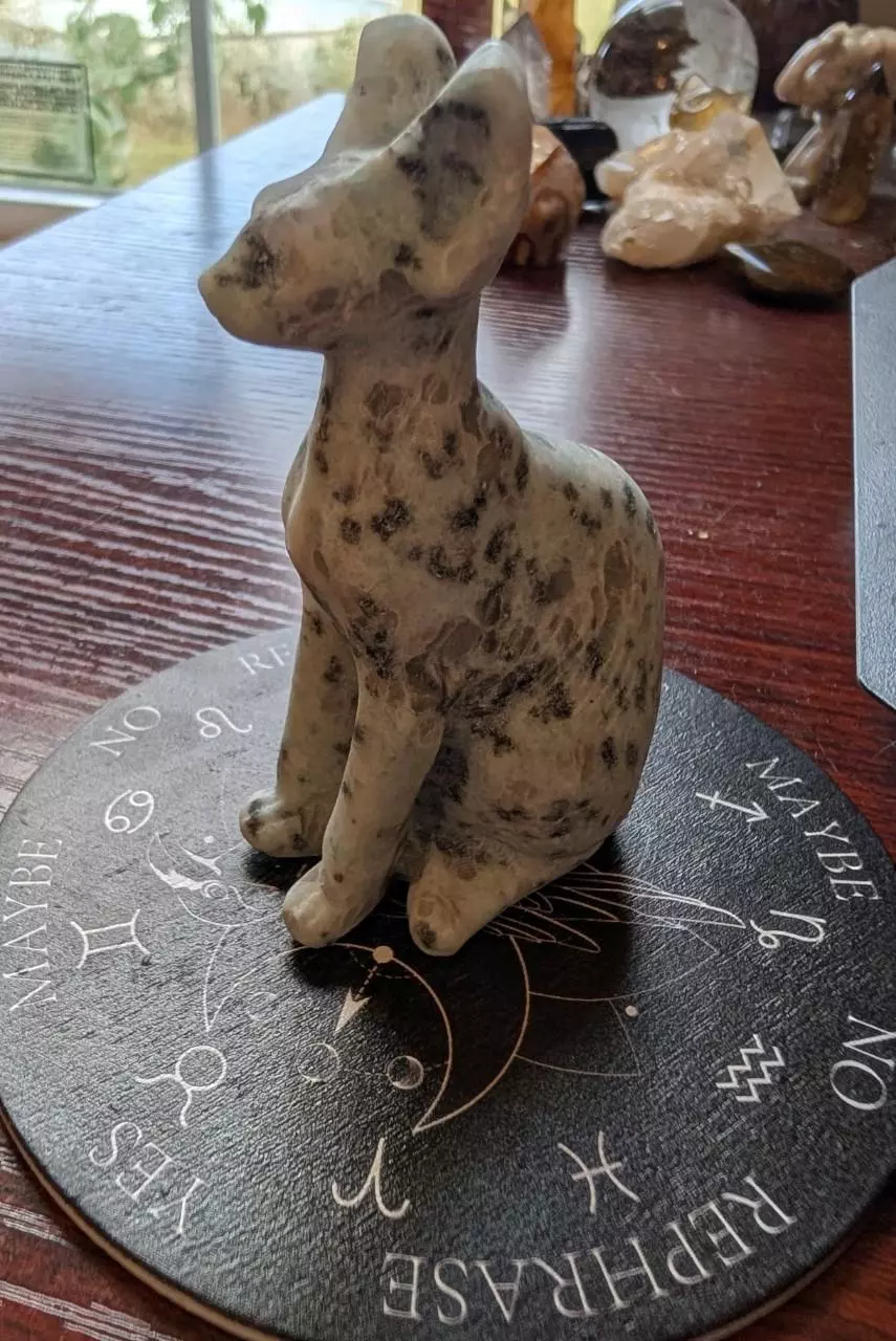 plant/Kiwi jasper sphynx cat-1