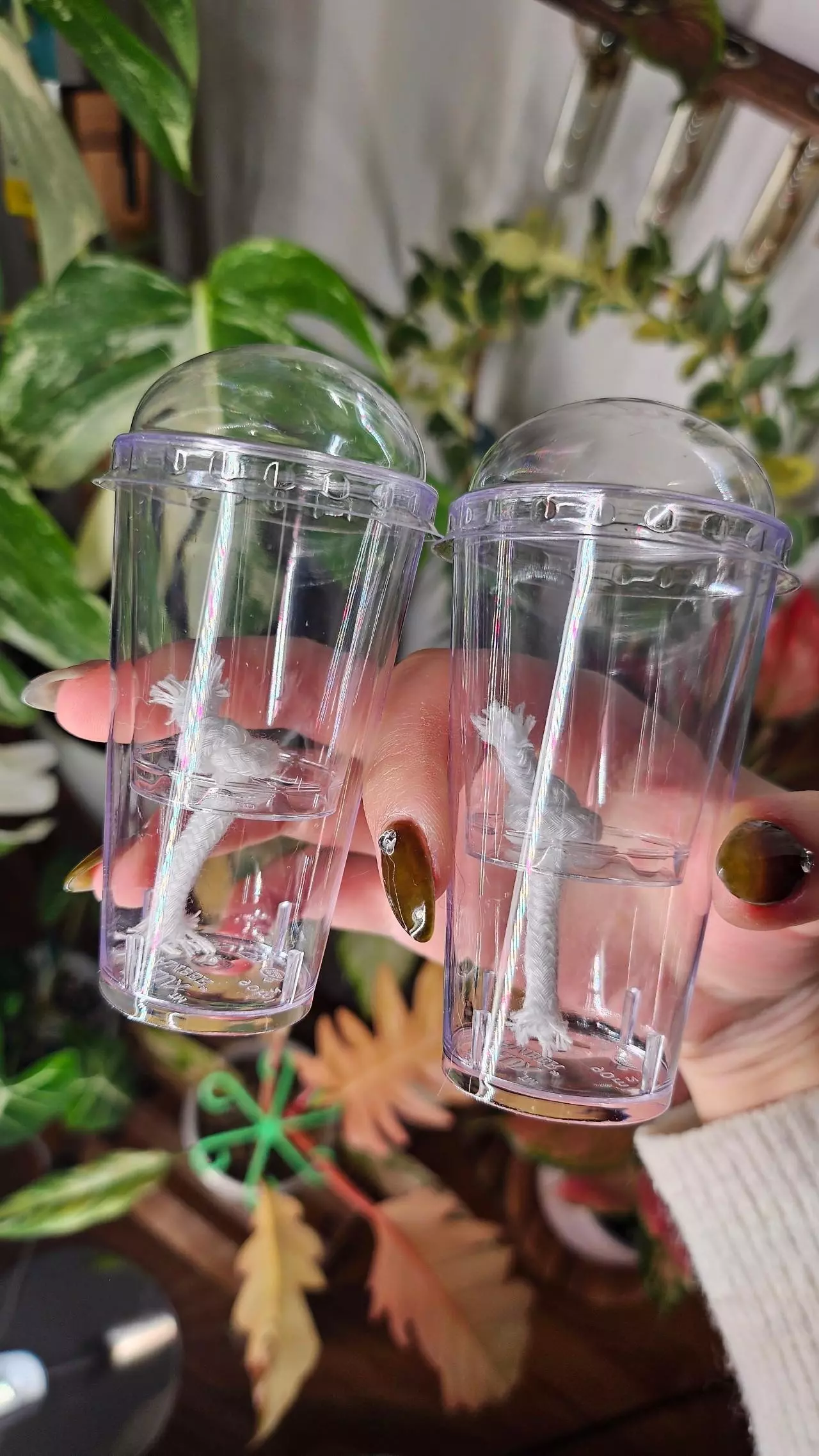 plant/6 self watering corm cups-1