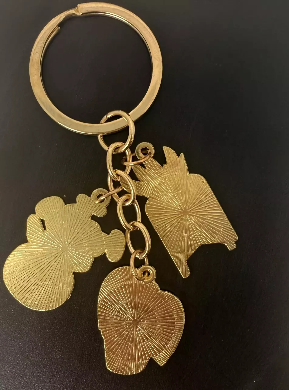 plant/3 pc “Crazy Plant Lady” keychain-2