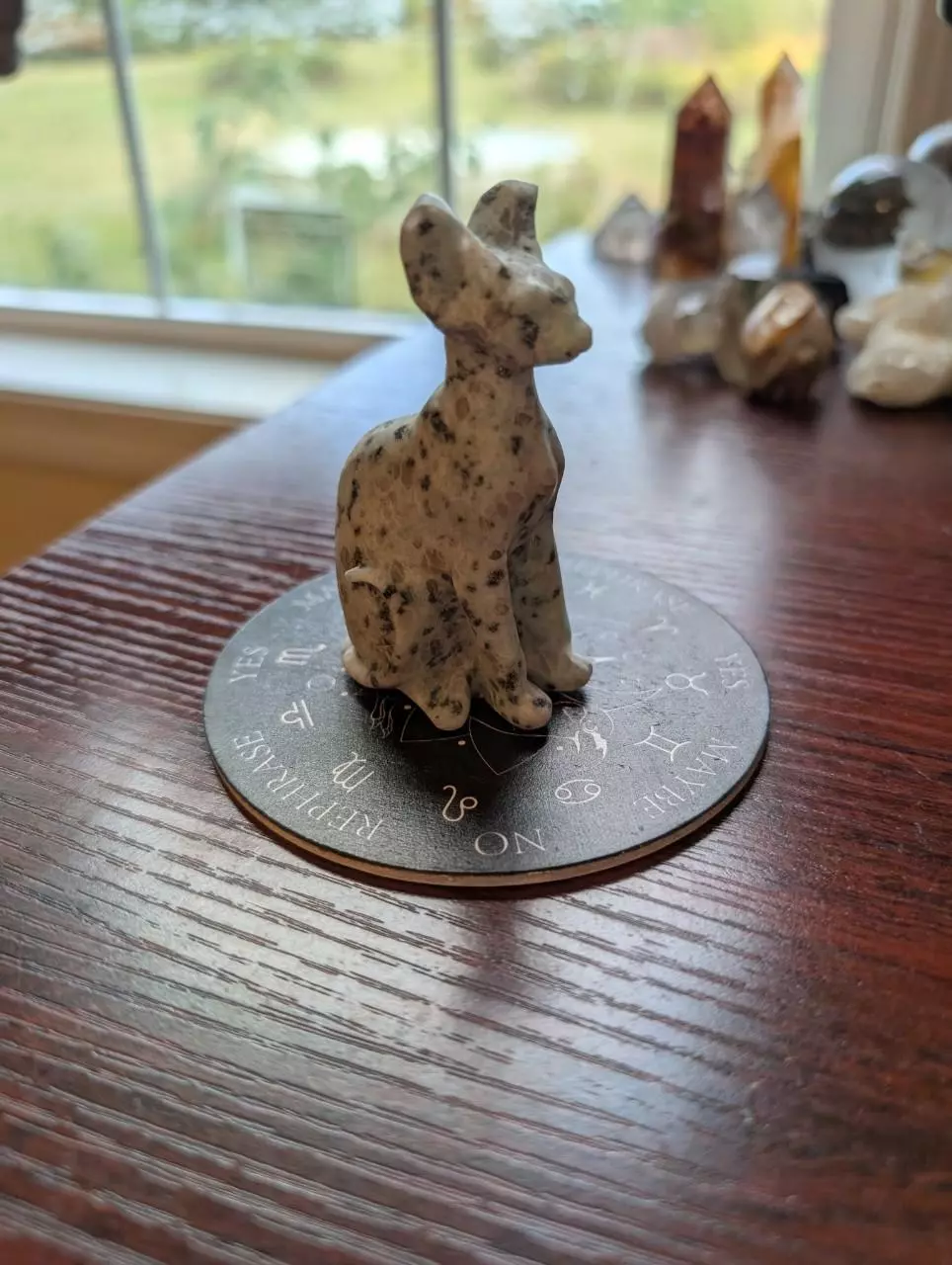 plant/Kiwi jasper sphynx cat-0