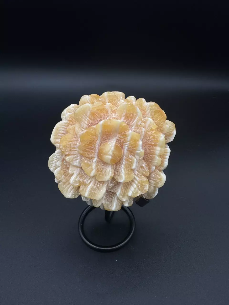 plant/Calcite Flower-1