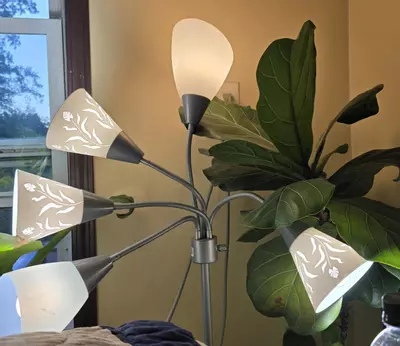 plant/Plant lamp shade-0-thumbnail