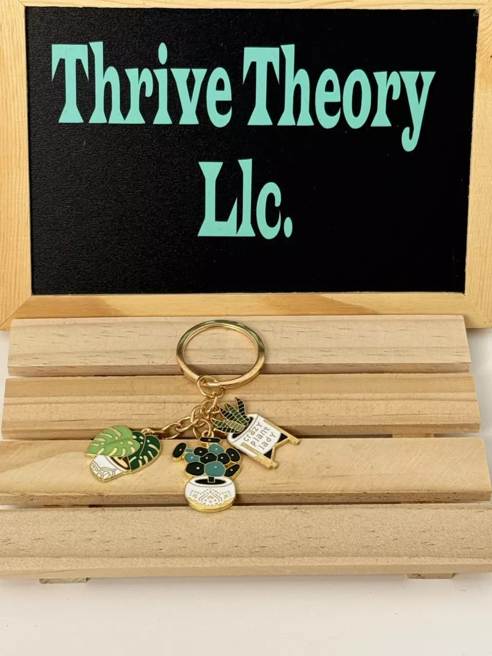 plant/3 pc “Crazy Plant Lady” keychain-0