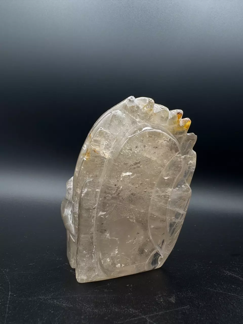 plant/Citrine Skull-1