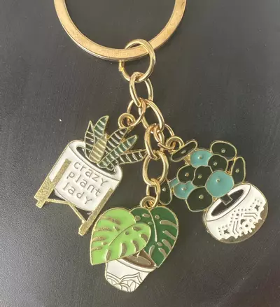 plant/3 pc “Crazy Plant Lady” keychain-1-thumbnail