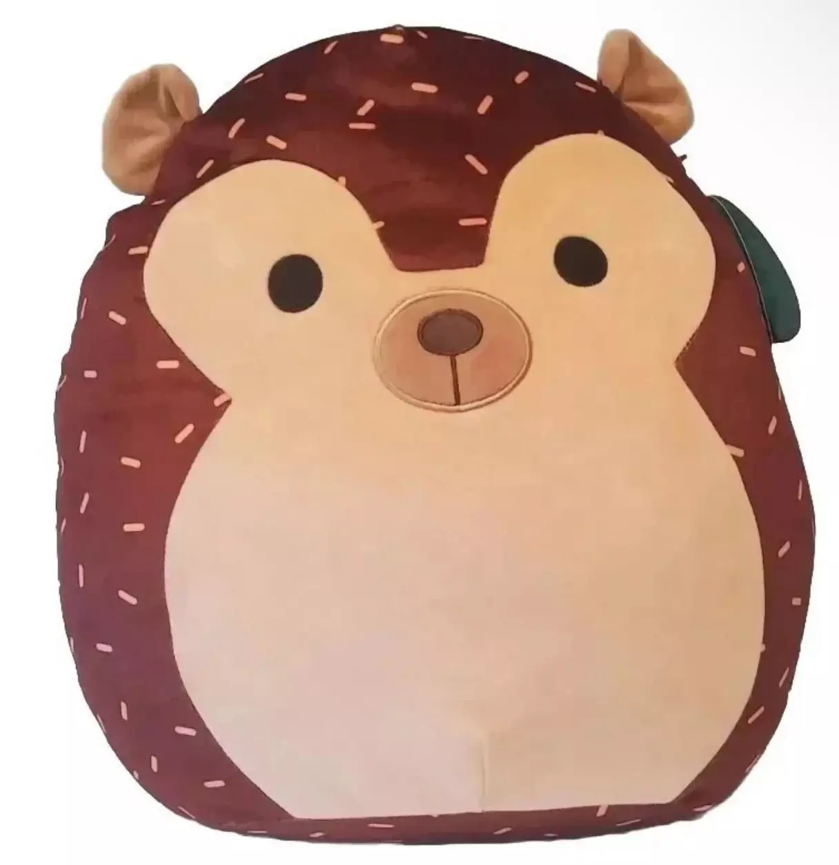 plant/Squishmallow Hans Hedgehog Rare Collectible-0