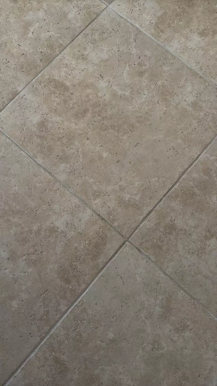 plant/Aloe parvula growers choice-0