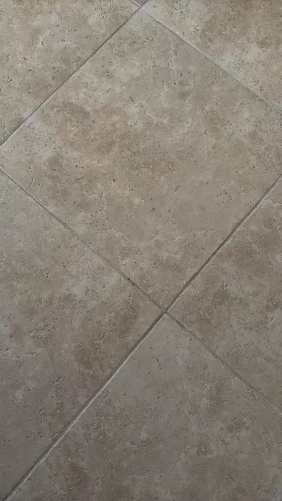 plant/Aloe parvula growers choice-0-thumbnail