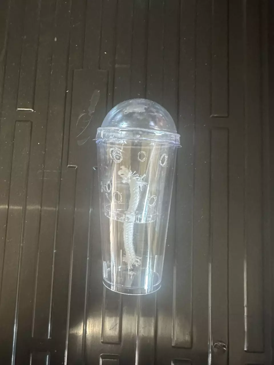 plant/Corm Cup- self watering-0