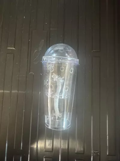 plant/Corm Cup- self watering-0-thumbnail