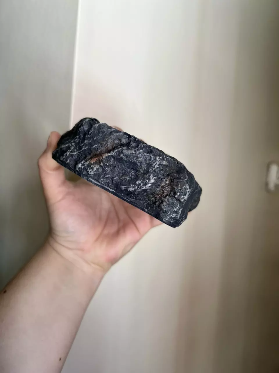 plant/1.5 oz. Single Silicone Ground Holder (Holds one cup)-1