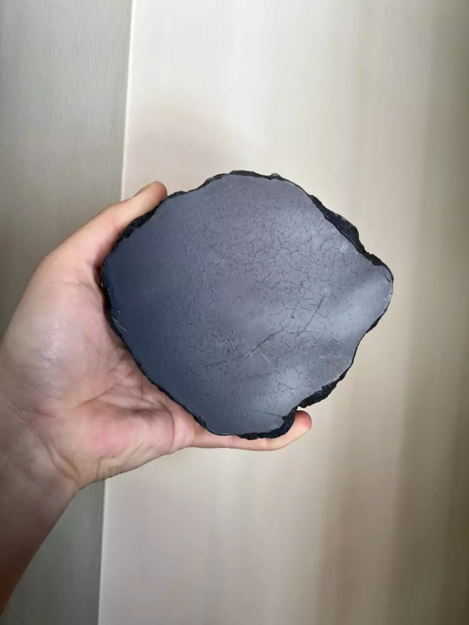 plant/1.5 oz. Single Silicone Ground Holder (Holds one cup)-2