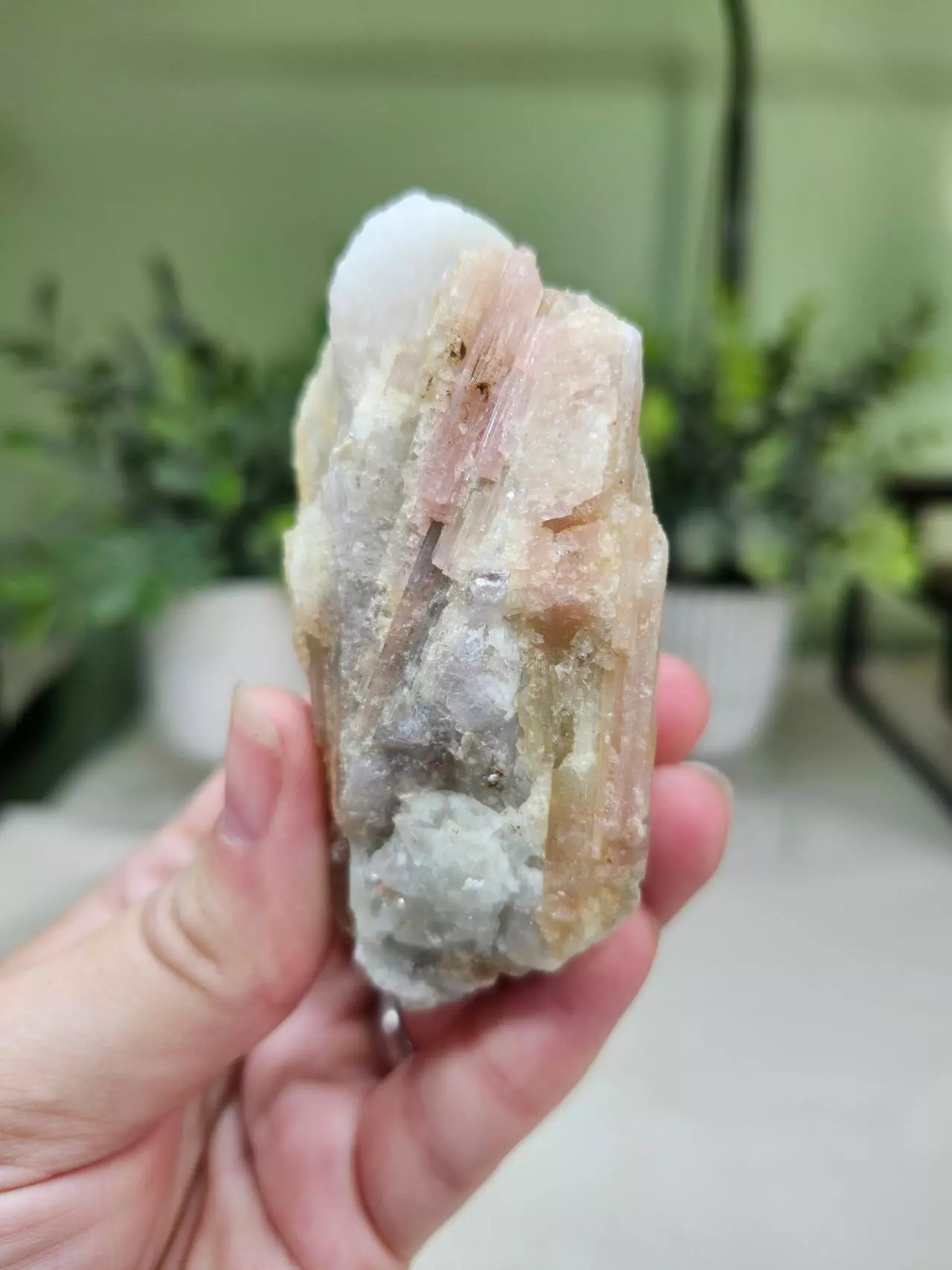 plant/Pink Tourlamine in Milky Quartz matrix (2)-1