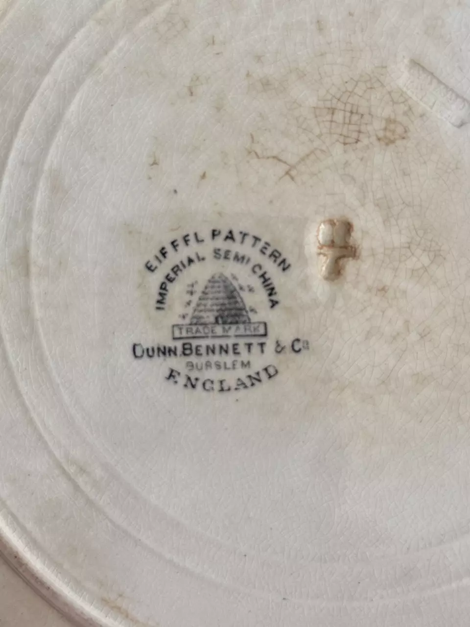 plant/Black and White Ironstone Plate | Scalloped Edge-3