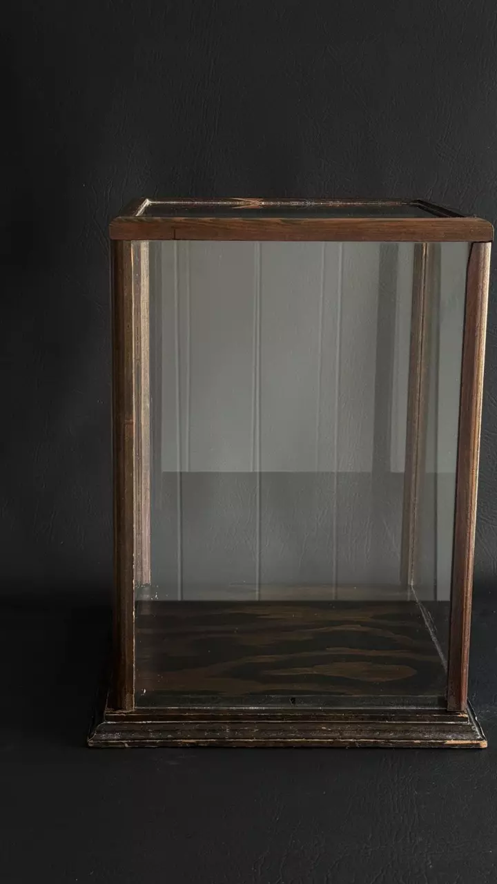 plant/Display Case-0