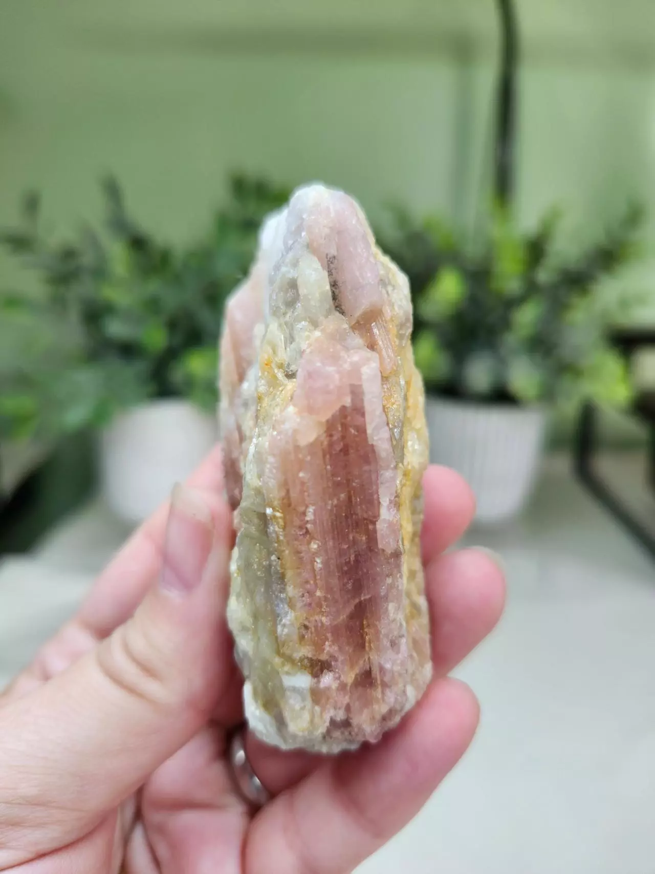 plant/Pink Tourlamine in Milky Quartz matrix (2)-3