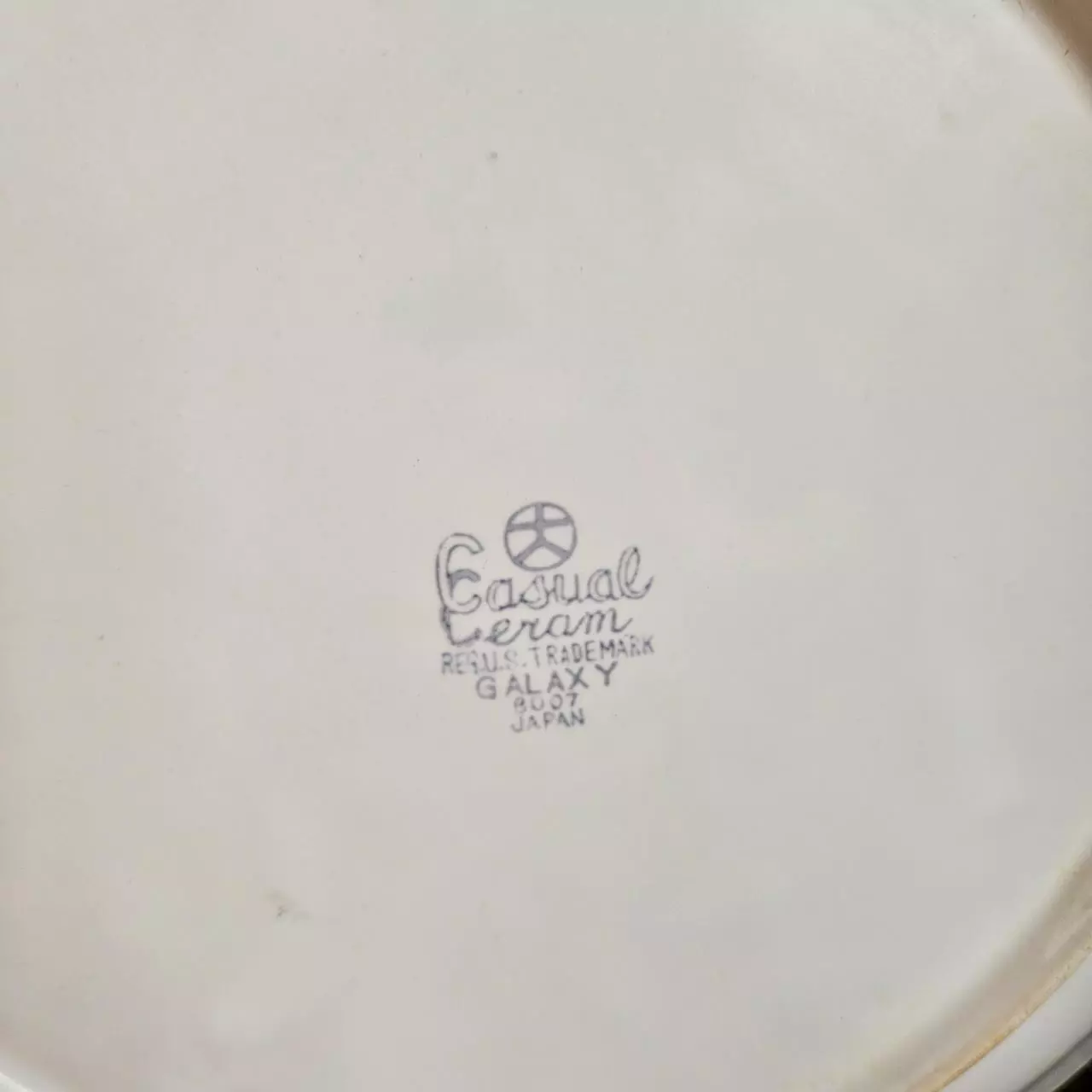 plant/Casual Ceram Galaxy Stoneware Dinner Plates Set of 8-2