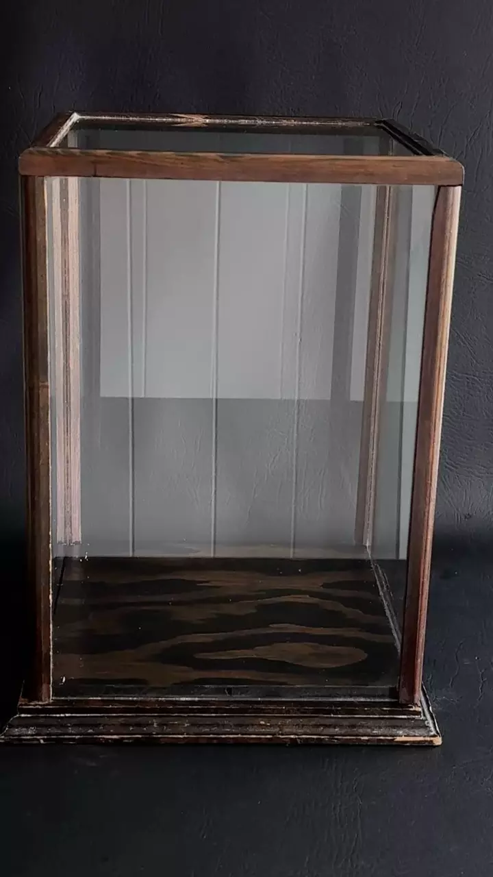 plant/Display Case-3
