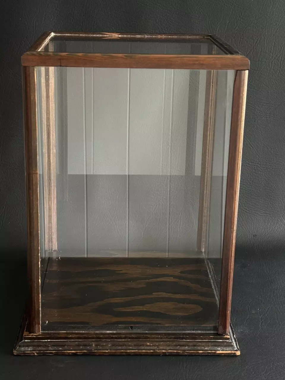 plant/Display Case-1