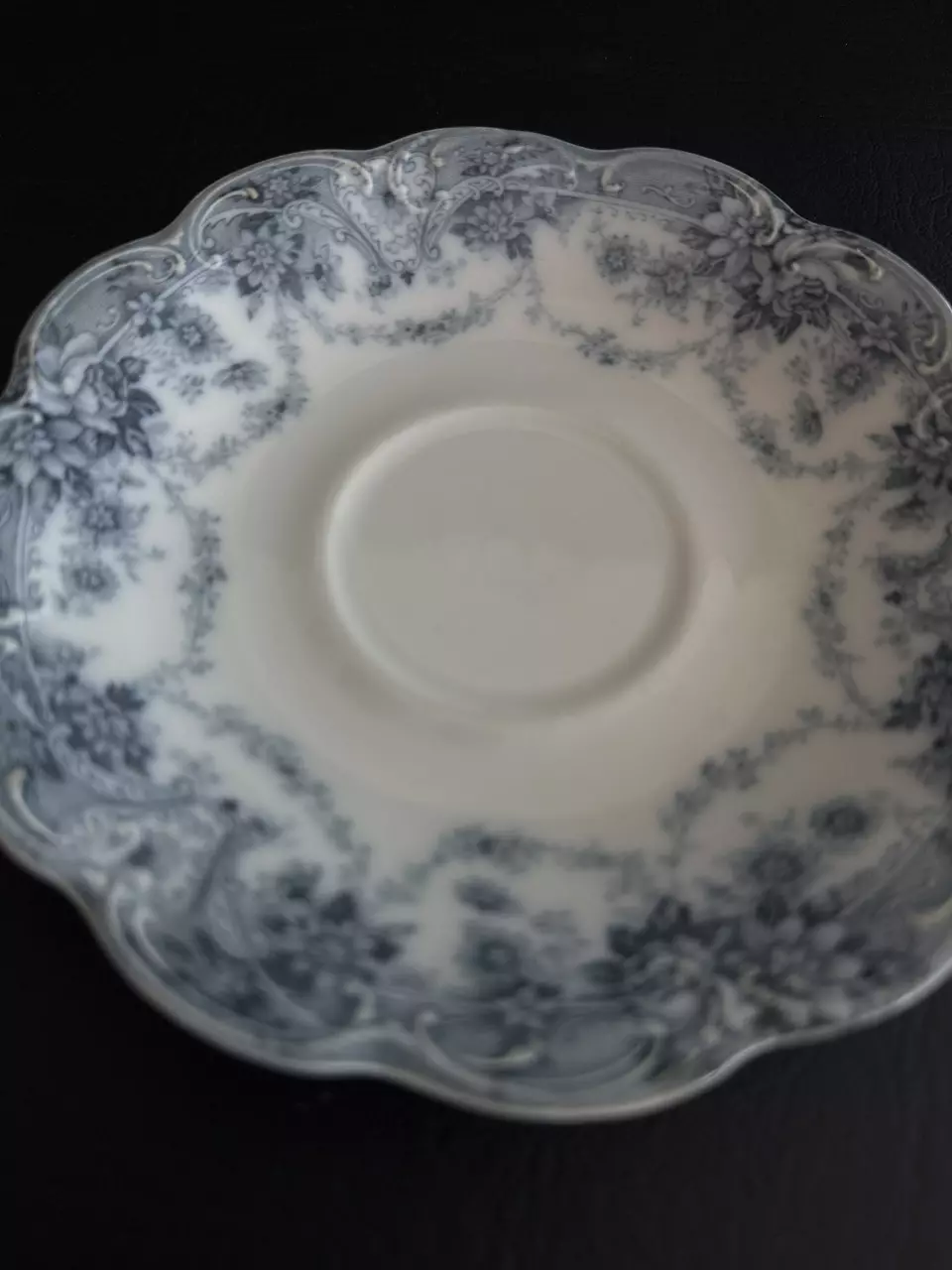 plant/Blue and White China Saucer-1