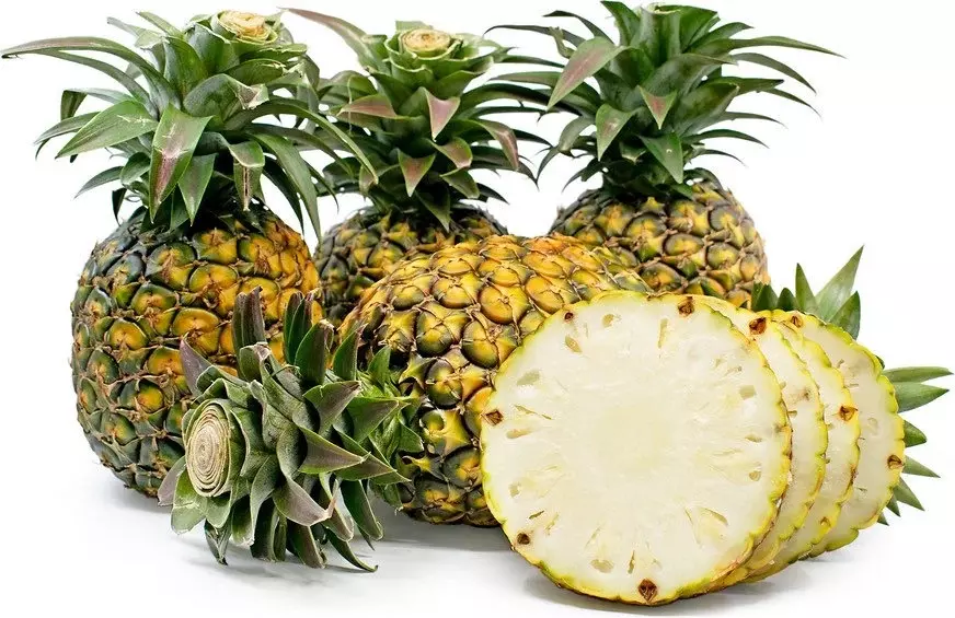 plant/Sugarloaf Pineapple starter plant growers choice-0